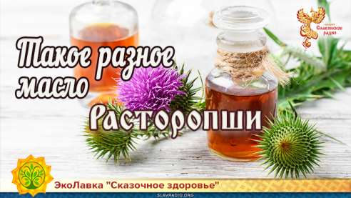 Такое разное масло. Расторопши