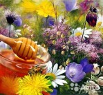Травы и пчёлы для здоровья человека