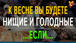 Весной в России будет голод и нищета. Если&hellip; Алексей Орлов
