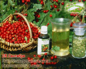 Энерго-информационная безопасность в мире