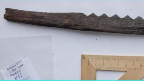 Сенсация в Вязьме