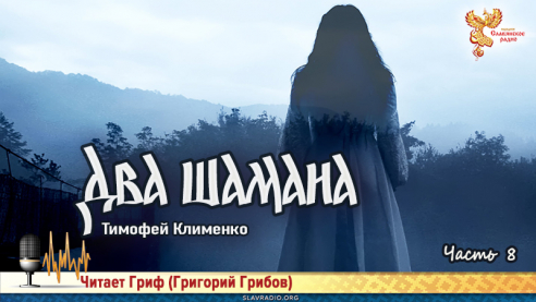 Два шамана. Часть 8