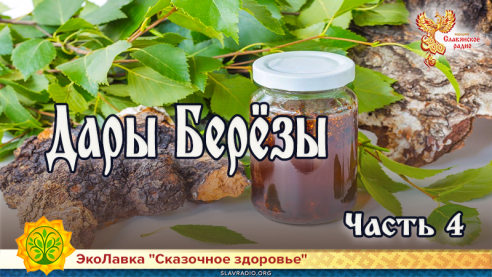 Дары Берёзы. Часть 4
