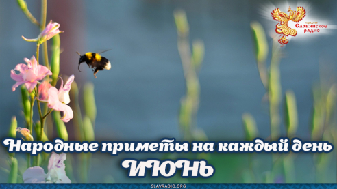 Народные приметы на каждый день. Июнь