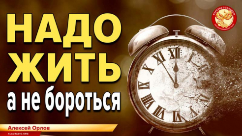 Надо жить, а не бороться