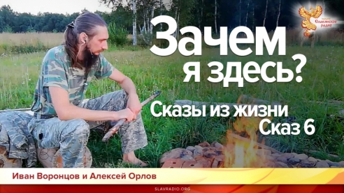 Зачем я здесь? Сказы из жизни. Сказ 6