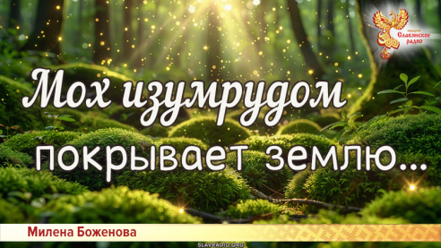 Мох изумрудом покрывает землю...