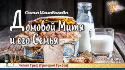 Домовой Митя и его Семья. Часть четвёртая