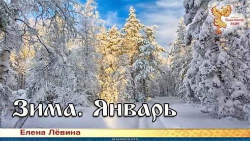 Зима. Январь
