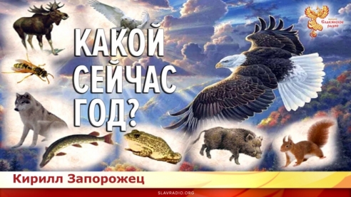 Какой сейчас год?