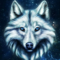 Светлана Алафинова