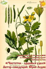 Чистотел - здоровья удел