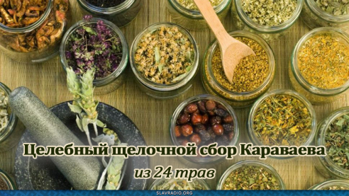 Целебный щелочной сбор Караваева из 24 трав