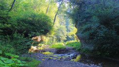 Путь к овладению осознанным сновидением для познания миров Нави, Слави и Прави