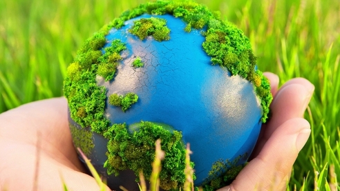 Десять загадок природы