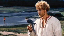 Сказ о спасённом Соколе