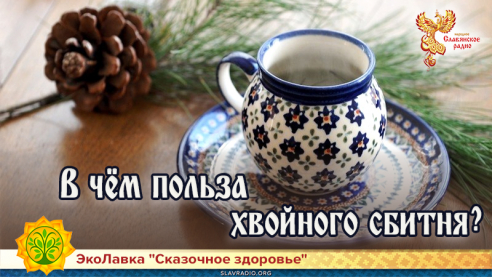В чём польза хвойного сбитня?