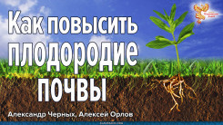 Как повысить плодородие почвы