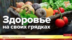 Здоровье на своих грядках