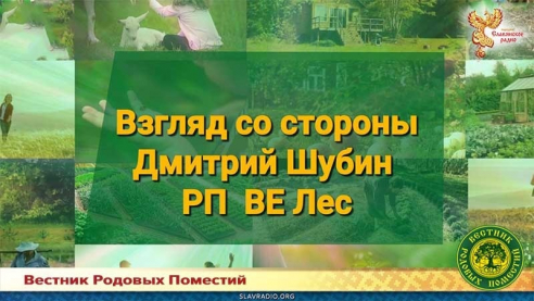 Взгляд со стороны