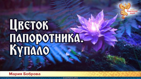 Цветок папоротника. Купало