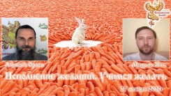 Исполнение желаний. Учимся желать