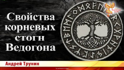 Свойства корневых стогн Ведогона