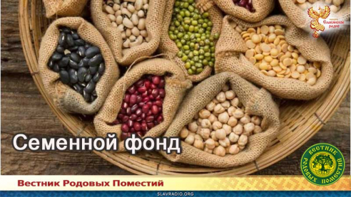 Семенной фонд