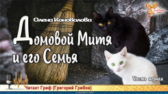 Домовой Митя и его Семья. Часть первая
