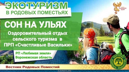 Сон на ульях