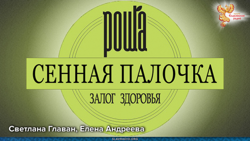 Сенная палочка "РОЩА"&mdash; залог здоровья