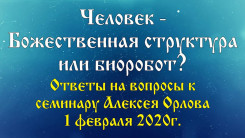 Человек - Божественная структура или биоробот?
