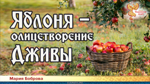Яблоня &mdash; олицетворение Дживы