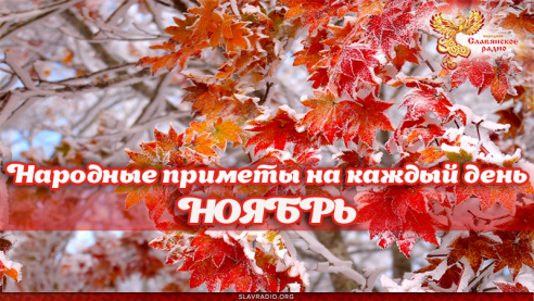 Народные приметы на каждый день. Ноябрь
