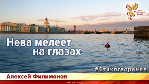 Нева мелеет на глазах