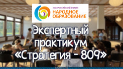 Экспертный практикум «Стратегия – 809»