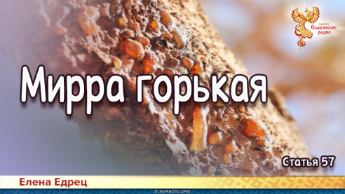Мирра горькая
