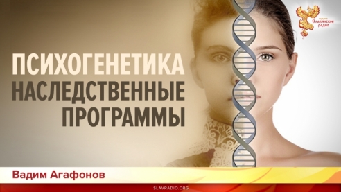Психогенетика. Наследственные программы