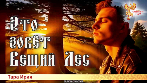 Это зовёт Вещий Лес!