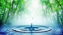 Живая и мёртвая вода