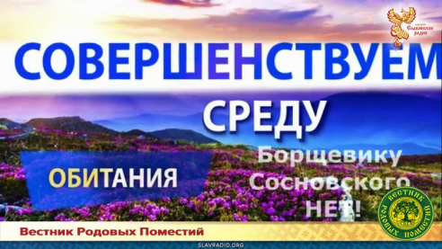Борщевику Сосновского НЕТ!