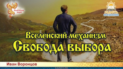 Свобода выбора. Вселенский механизм
