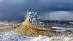 Поморские поговорки