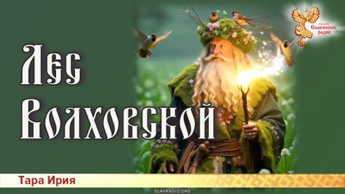 Лес Волховской