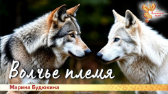 Волчье племя