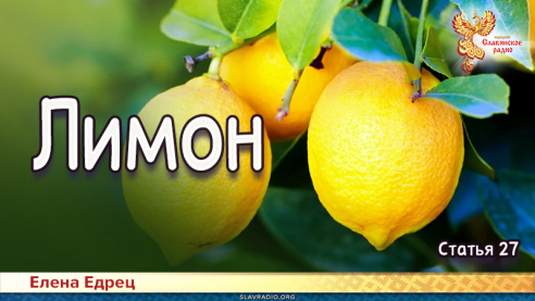 Лимон 
