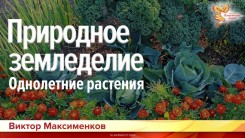 Природное земледелие. Однолетние растения