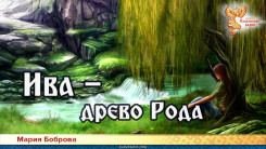Ива — древо Рода