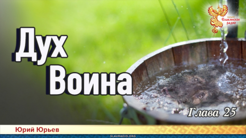 Дух воина. Глава 25