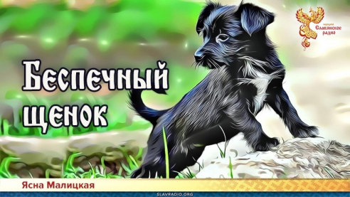 Беспечный щенок